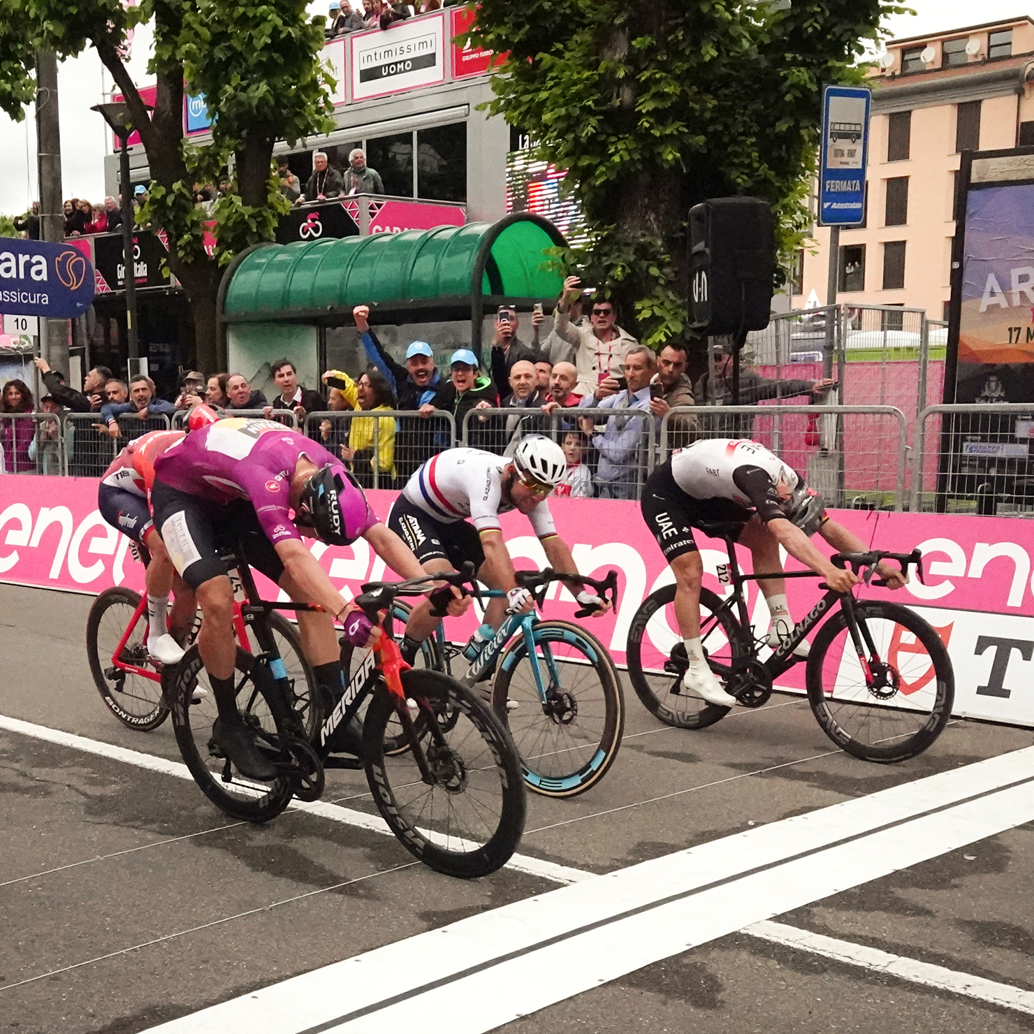 GIRO D’ITALIA - Goldfinger Official Tudor Jeweler - St. Martin St. Marteen St. Barthelémy - Caribbean
