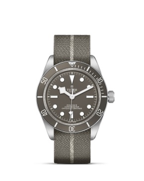 TUDOR Black Bay 58 - Goldfinger
