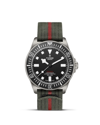 Tudor Pelagos - Goldfinger