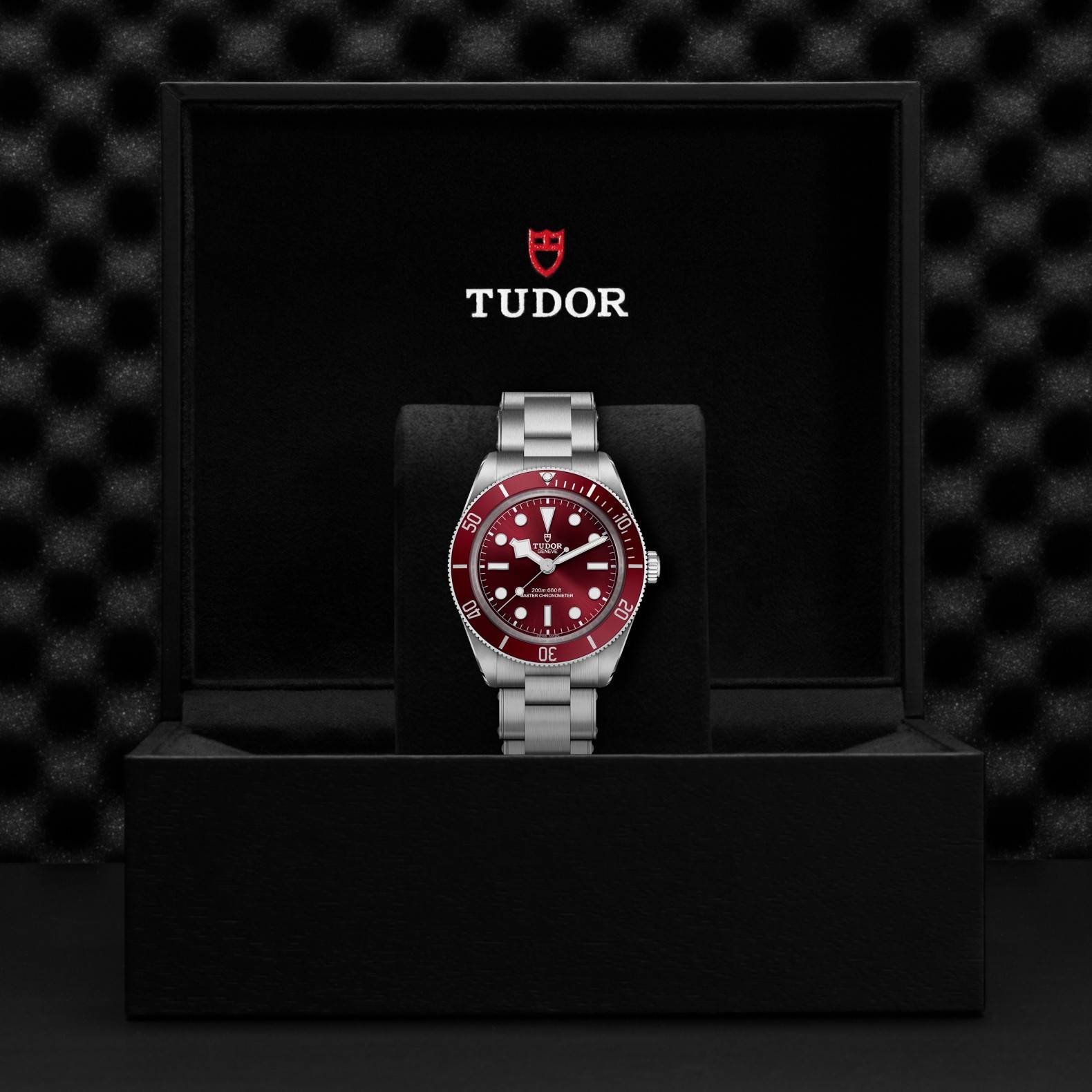 TUDOR Black Bay Fifty-Eight