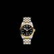 Tudor Black Bay - Goldfinger
