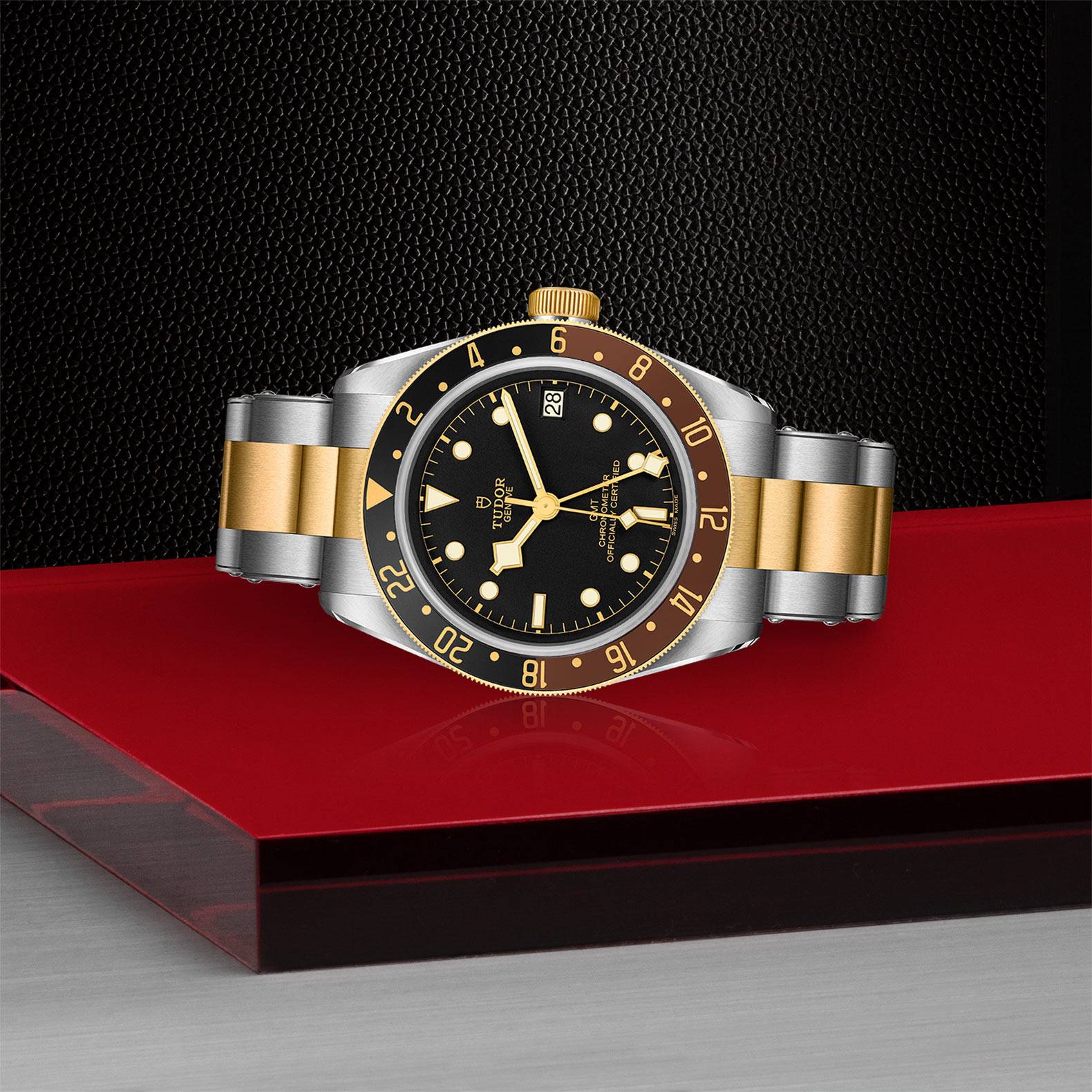 TUDOR Black Bay