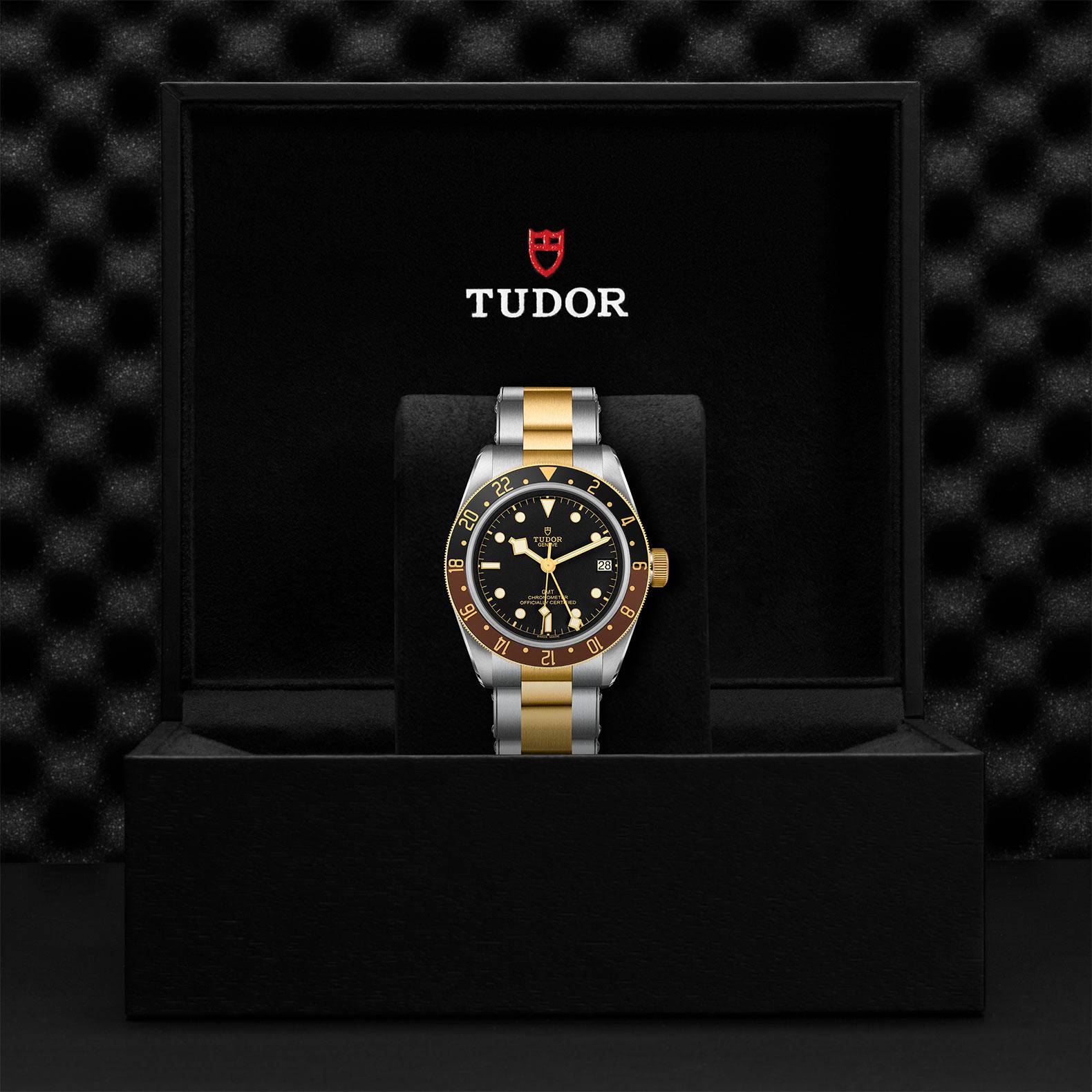 TUDOR Black Bay 