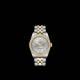Tudor Black Bay - Goldfinger