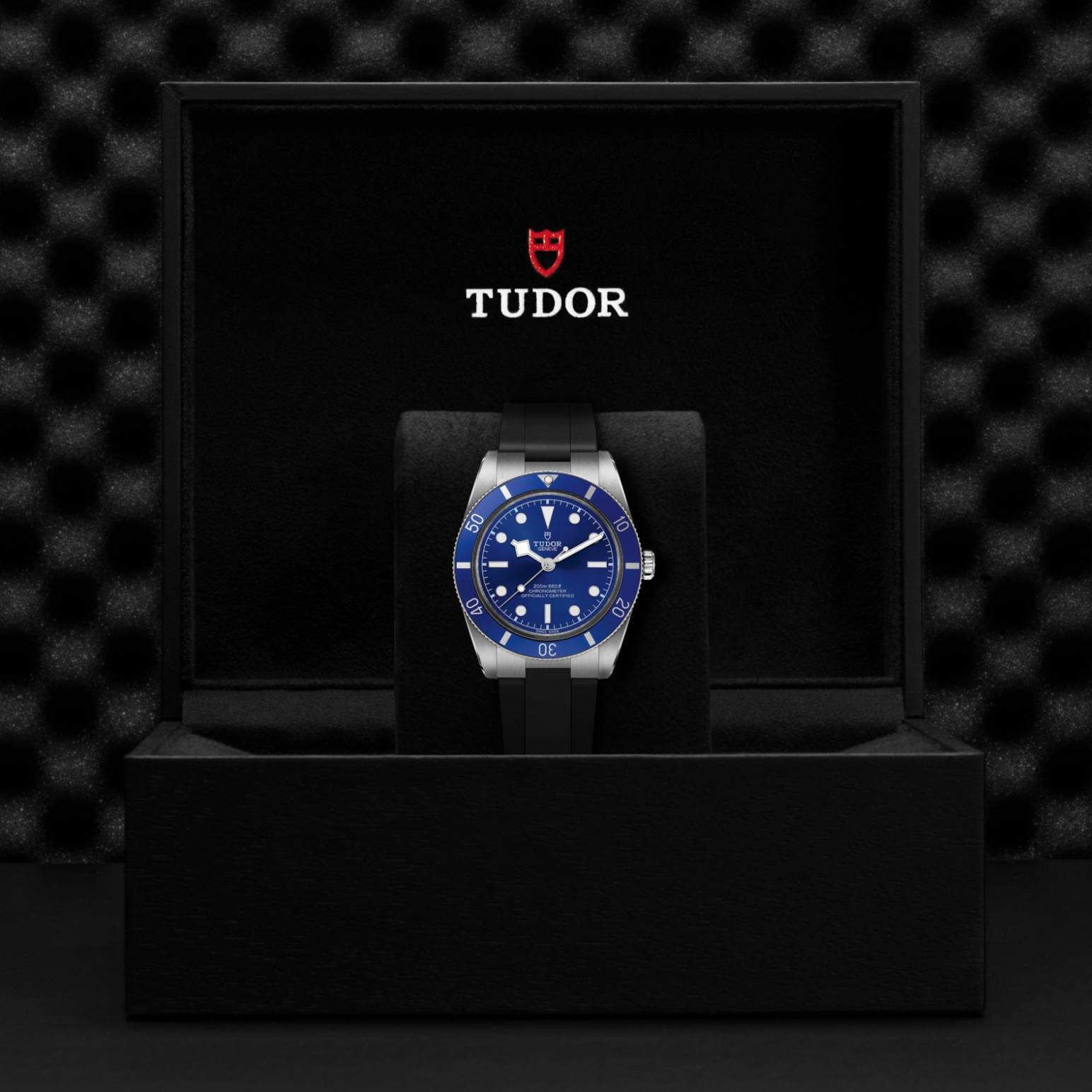 TUDOR Black Bay Goldfinger
