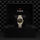 Tudor Black Bay - Goldfinger