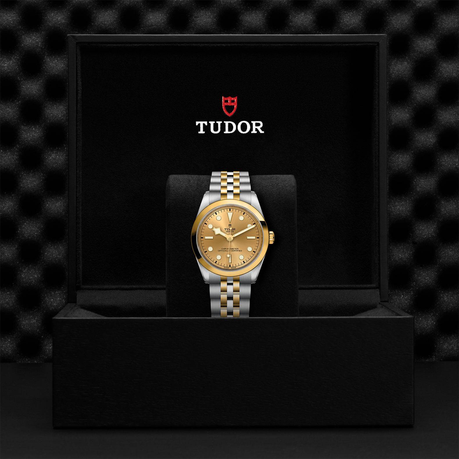 TUDOR Black Bay Goldfinger