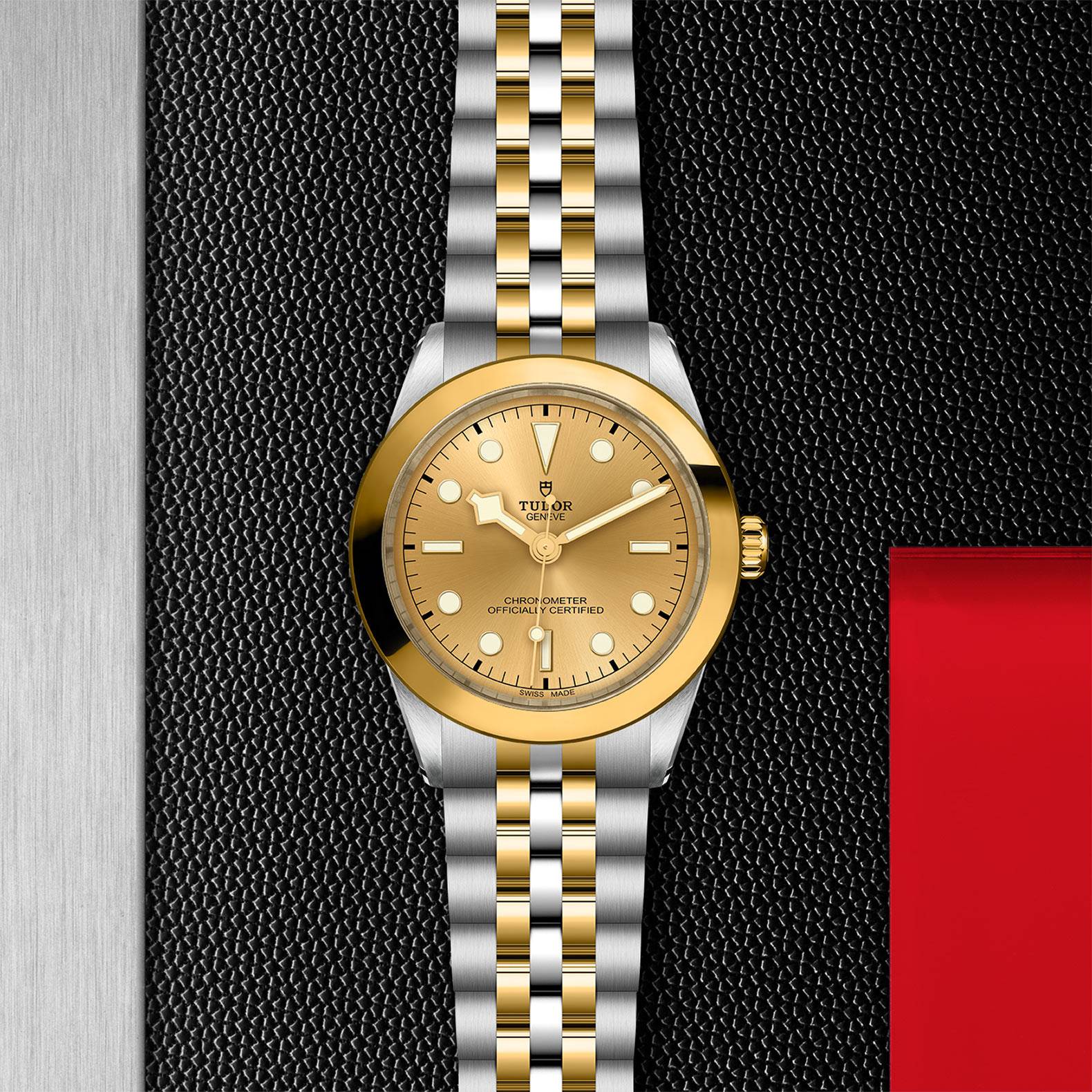Tudor Black Bay Goldfinger