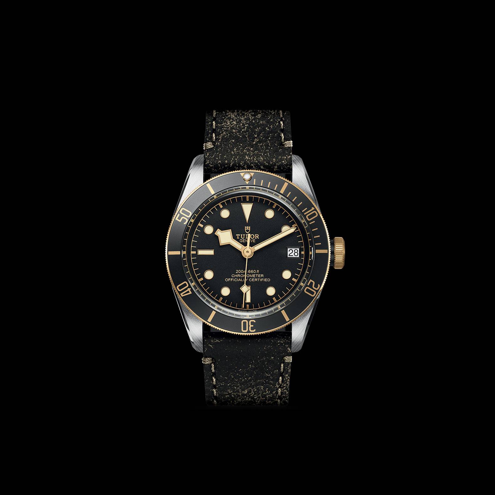 Tudor Black Bay S&G