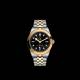 Tudor Black Bay Goldfinger