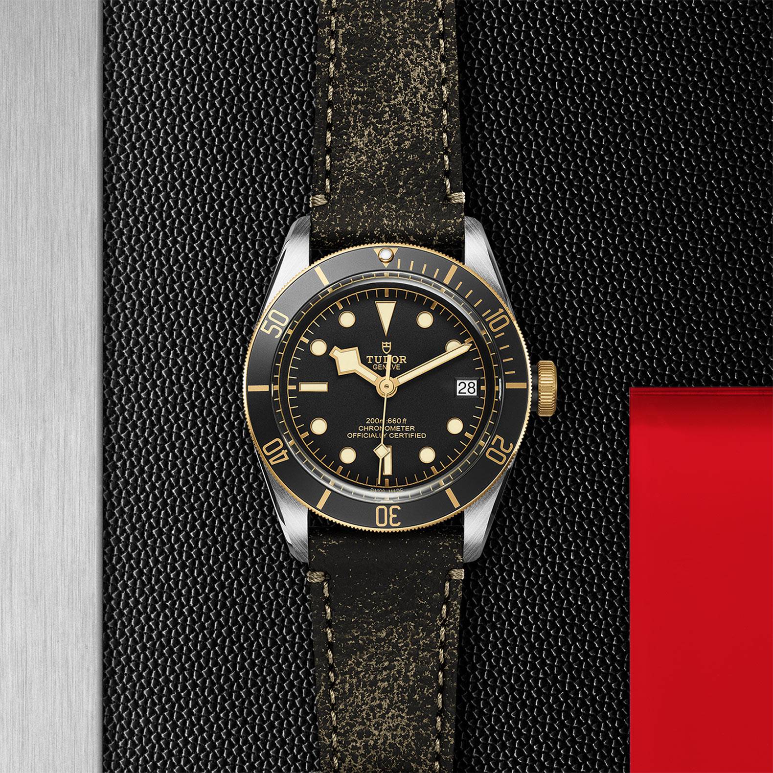 Tudor Black Bay S&G