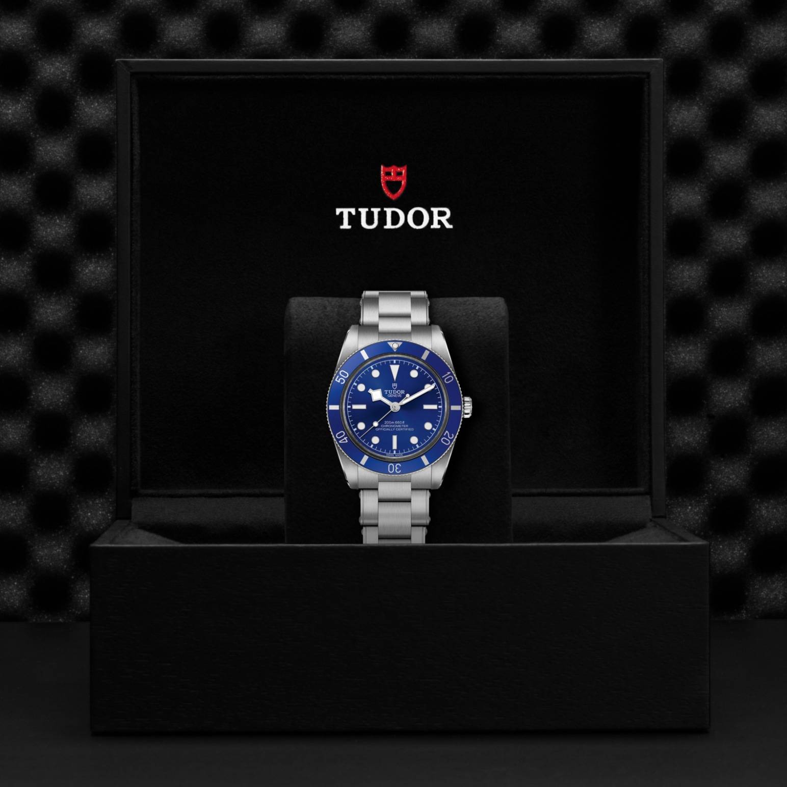 TUDOR Black Bay Goldfinger