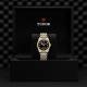 Tudor Black Bay - Goldfinger