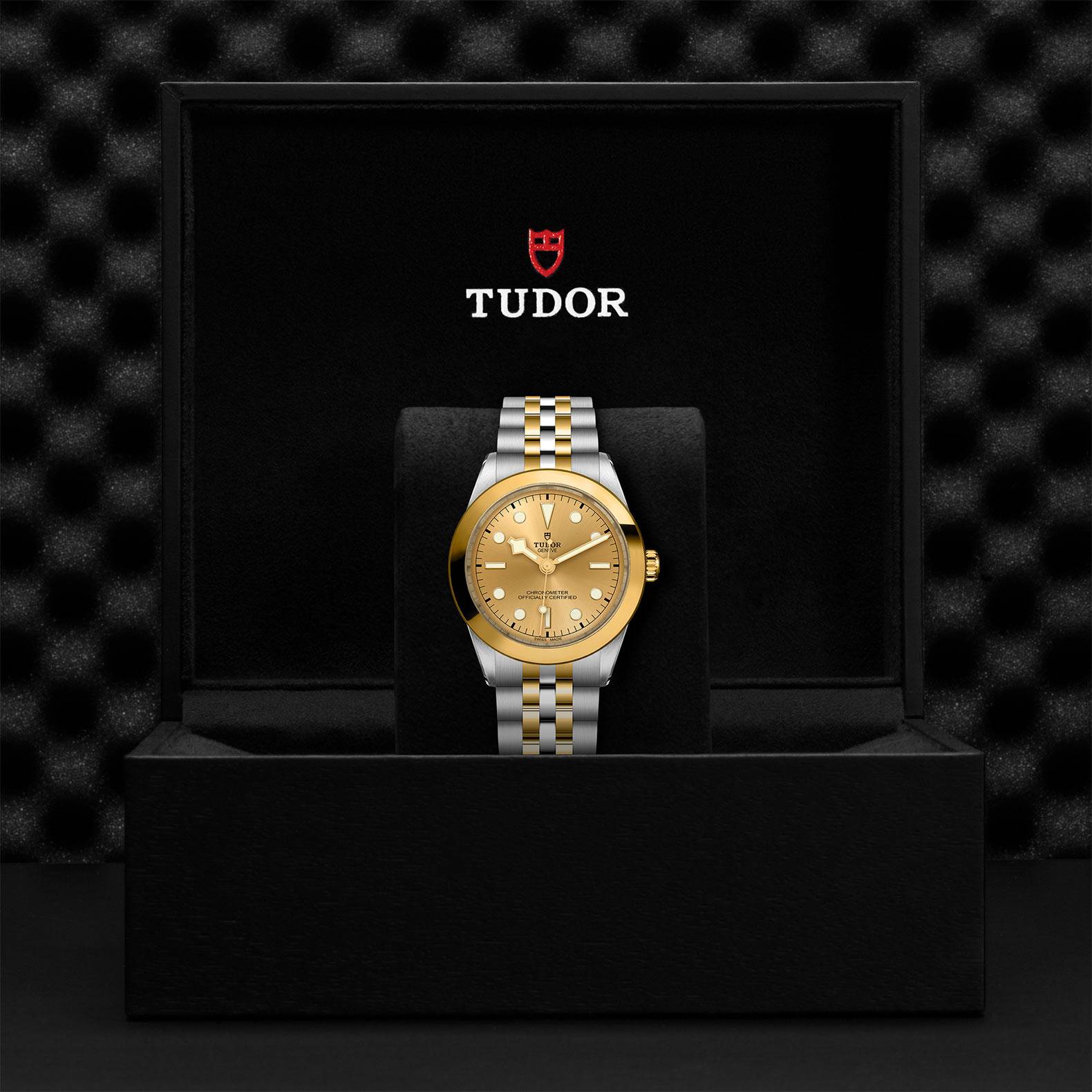 TUDOR Black Bay Goldfinger