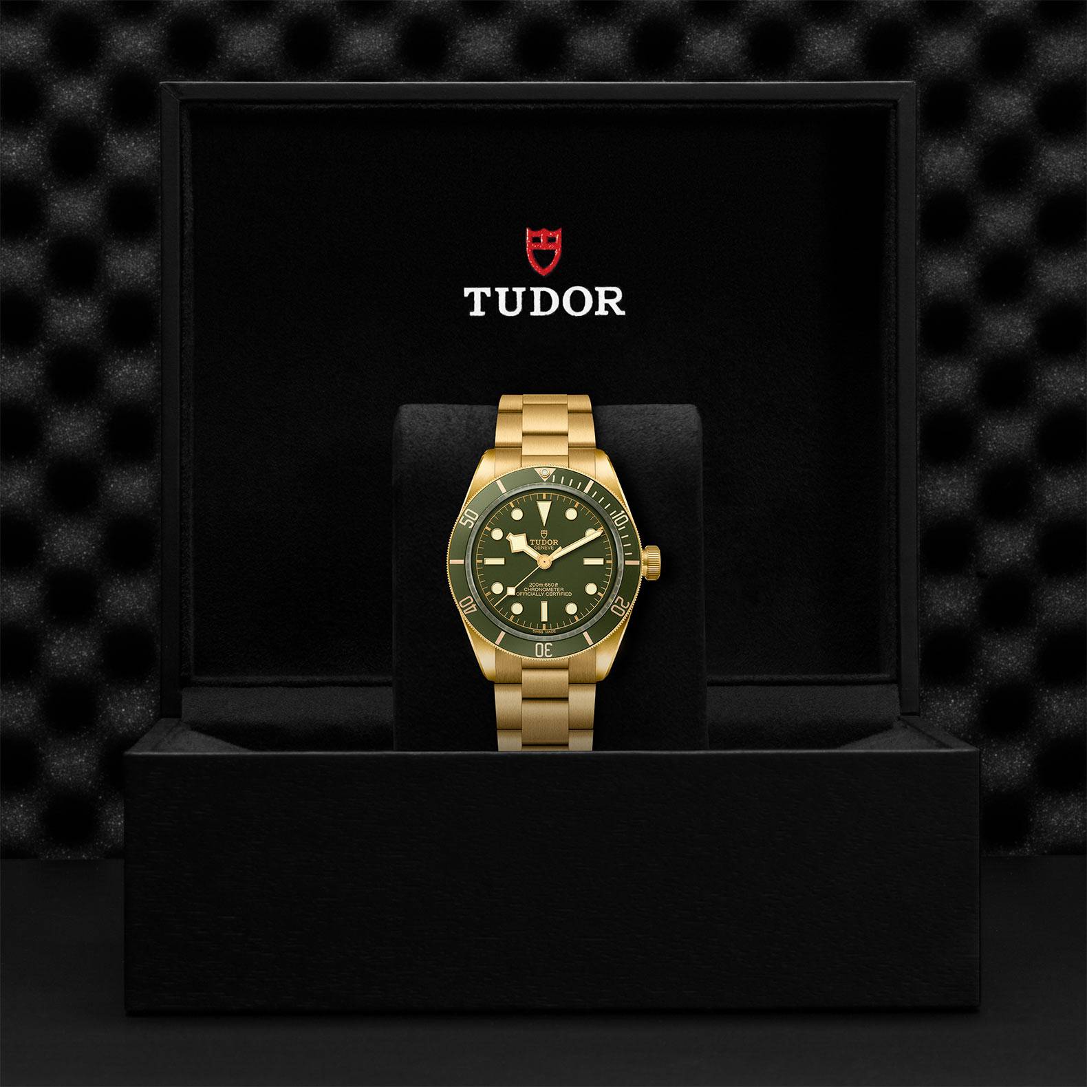 TUDOR Black Bay Fifty-Eight