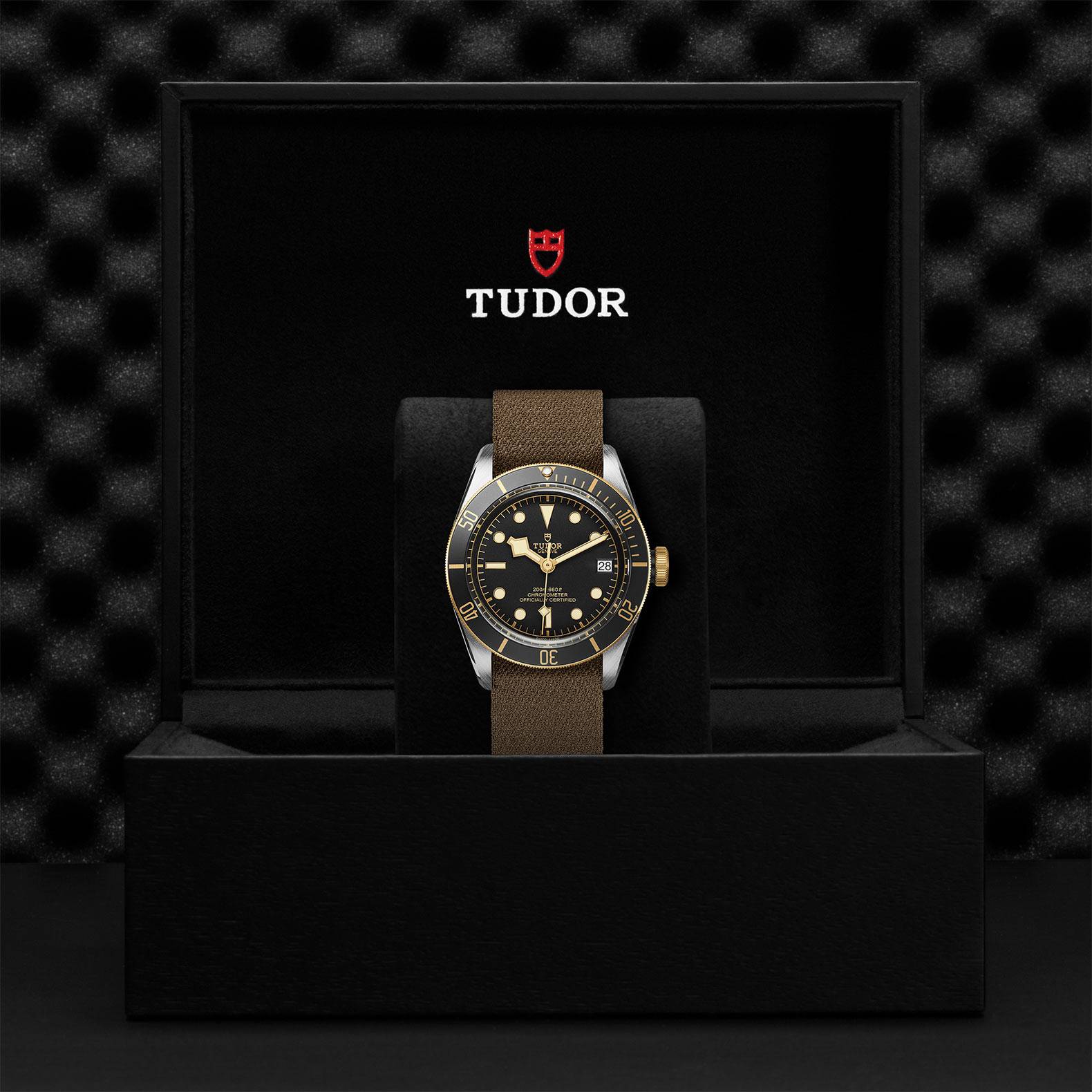 TUDOR Black Bay S&G