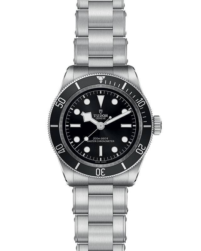 Tudor Black Bay