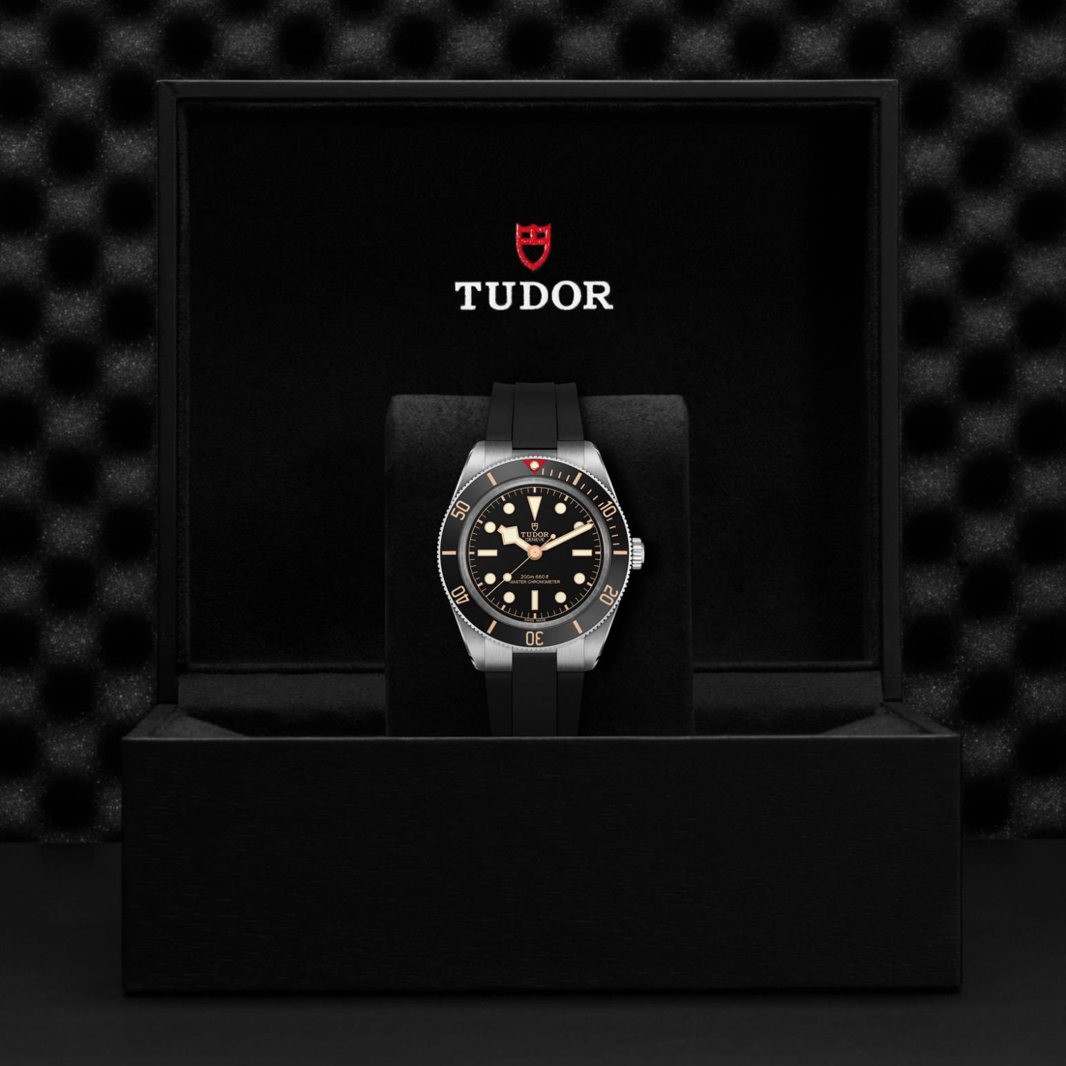 TUDOR Black Bay Fifty-Eight