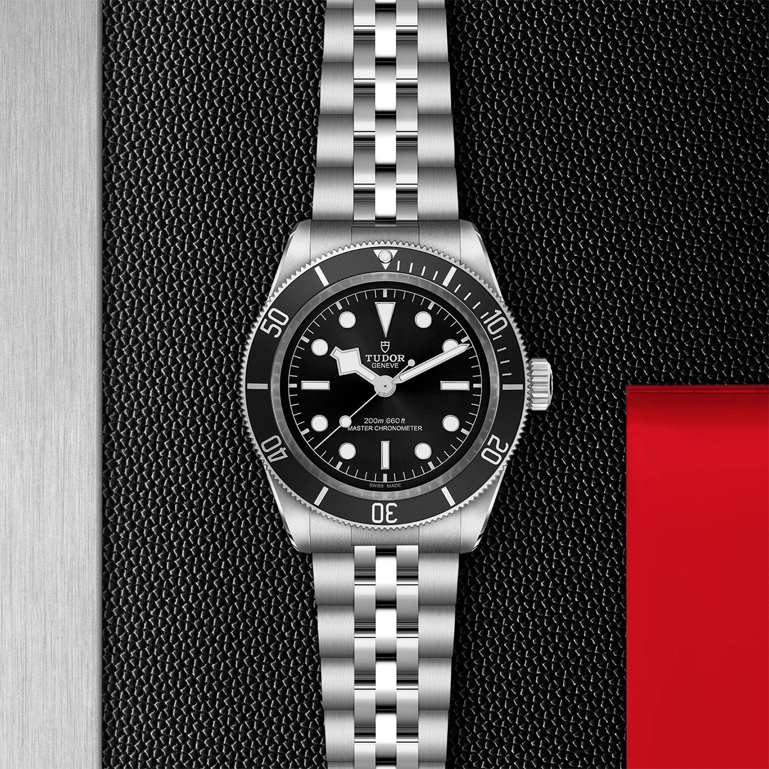 Tudor Black Bay 