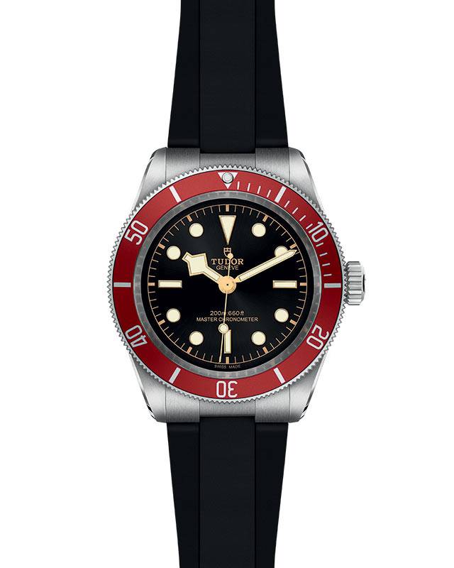 Tudor Black Bay