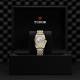Tudor Black Bay - Goldfinger