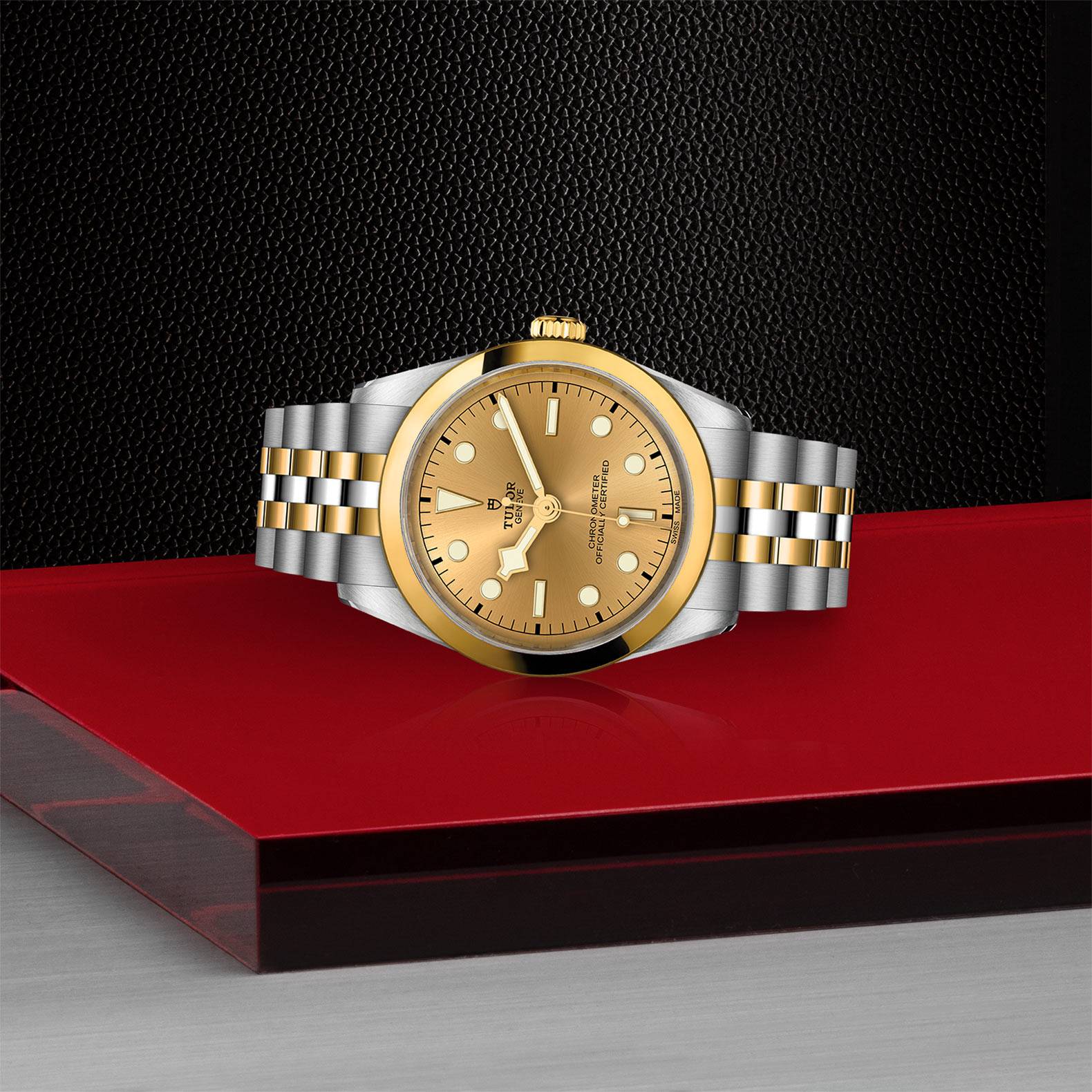 TUDOR Black Bay Goldfinger