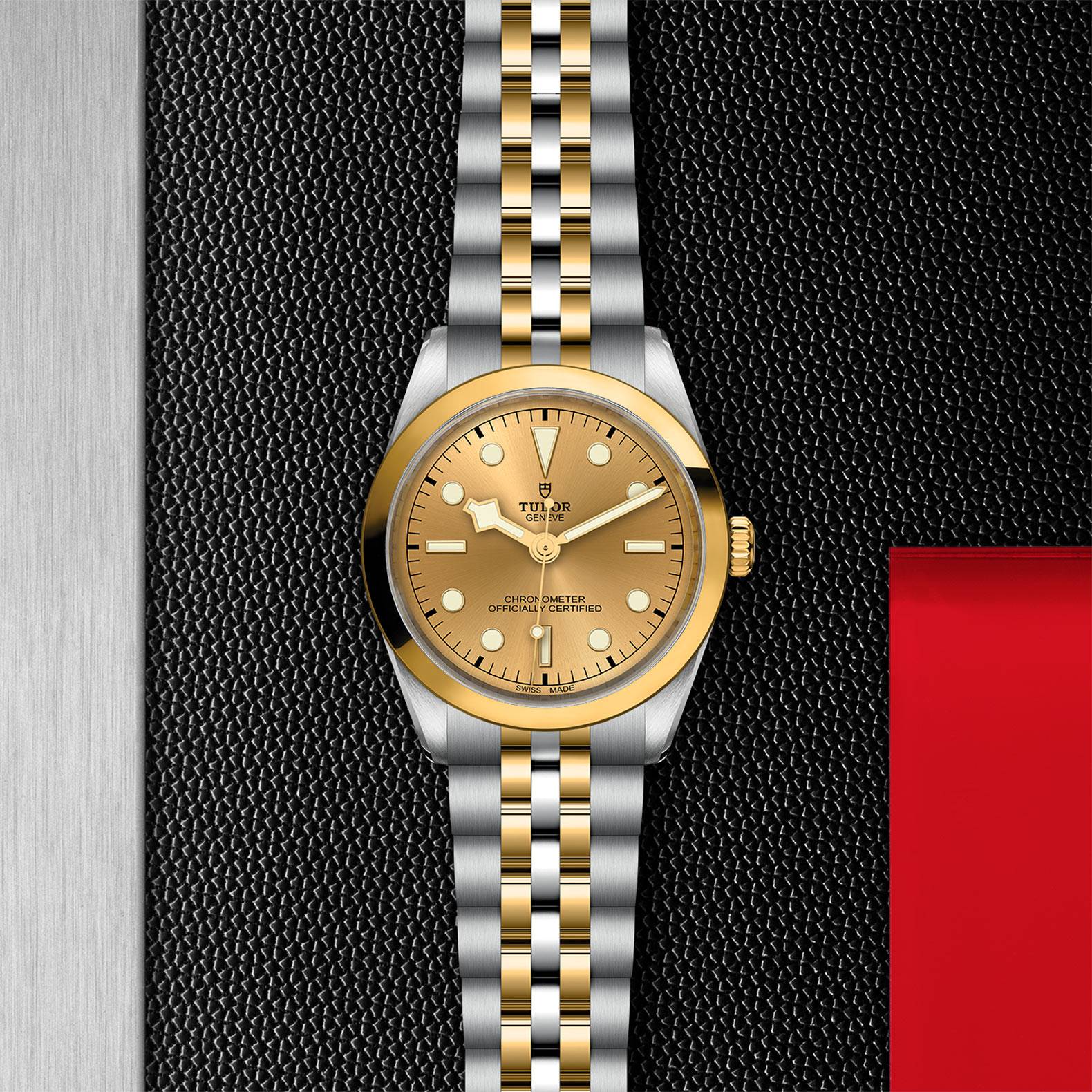 Tudor Black Bay Goldfinger